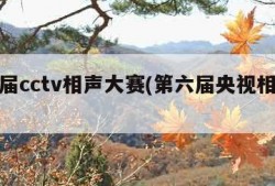第六届cctv相声大赛(第六届央视相声大赛)