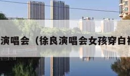 徐良演唱会（徐良演唱会女孩穿白裙子）