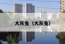大灰兔（大灰兔）