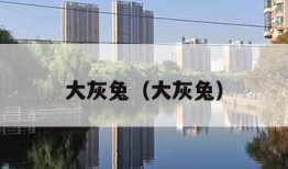 大灰兔（大灰兔）