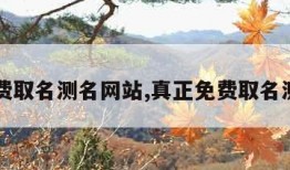 免费取名测名网站,真正免费取名测名