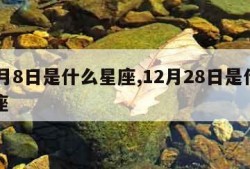 12月8日是什么星座,12月28日是什么星座