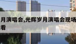 光辉岁月演唱会,光辉岁月演唱会现场版高清免费观看