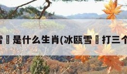冰瓯雪椀是什么生肖(冰瓯雪椀打三个数字)