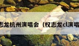 权志龙杭州演唱会（权志龙cl演唱会）