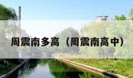 周震南多高（周震南高中）