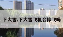 下大雪,下大雪飞机会停飞吗