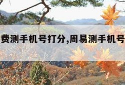 周易免费测手机号打分,周易测手机号打分测试