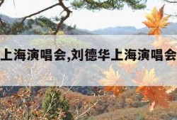 刘德华上海演唱会,刘德华上海演唱会滑跪险坠台
