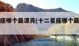 十二星座哪个最漂亮(十二星座哪个最漂亮排名)