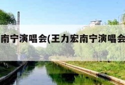 王力宏南宁演唱会(王力宏南宁演唱会是哪一年)