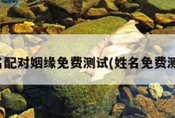 姓名配对姻缘免费测试(姓名免费测试)