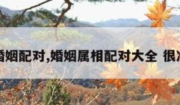 婚姻配对,婚姻属相配对大全 很准