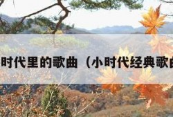 小时代里的歌曲（小时代经典歌曲）
