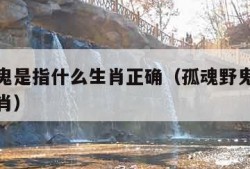 孤魂野鬼是指什么生肖正确（孤魂野鬼请问是什么生肖）