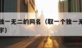 取一个独一无二的网名（取一个独一无二的网名两个字）