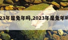 2023年是兔年吗,2023年是兔年吗多大