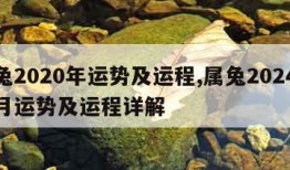 属兔2020年运势及运程,属兔2024年每月运势及运程详解