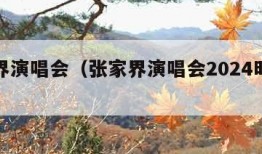 张家界演唱会（张家界演唱会2024时间表）