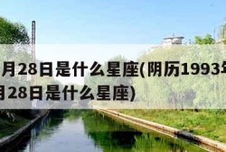 12月28日是什么星座(阴历1993年12月28日是什么星座)