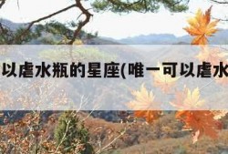 唯一可以虐水瓶的星座(唯一可以虐水瓶的星座女)