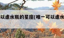 唯一可以虐水瓶的星座(唯一可以虐水瓶的星座女)