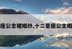 十二星座公主裙婚纱,十二星座公主婚纱礼服