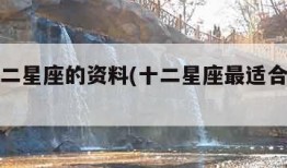 关于十二星座的资料(十二星座最适合的珠宝)