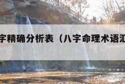 命理八字精确分析表（八字命理术语汇编解析）