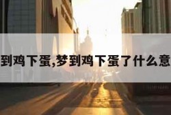 梦到鸡下蛋,梦到鸡下蛋了什么意思