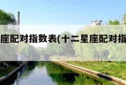 十二星座配对指数表(十二星座配对指数表图)