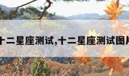 十二星座测试,十二星座测试图片