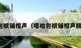 嘻哈包袱铺相声（嘻哈包袱铺相声精品集）