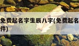 真正的免费起名字生辰八字(免费起名字生辰八字软件)