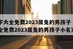 取名字大全免费2023属兔的男孩子（取名字大全免费2023属兔的男孩子小名）