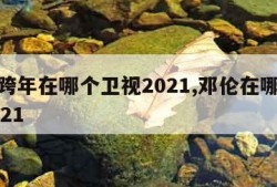 邓伦跨年在哪个卫视2021,邓伦在哪里跨年2021