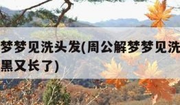 周公解梦梦见洗头发(周公解梦梦见洗头发时头发又黑又长了)