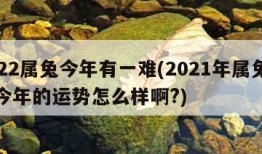 2022属兔今年有一难(2021年属兔的人今年的运势怎么样啊?)
