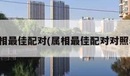 属相最佳配对(属相最佳配对对照表)