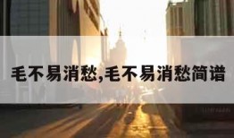 毛不易消愁,毛不易消愁简谱