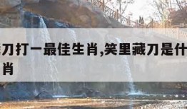 笑里藏刀打一最佳生肖,笑里藏刀是什么动物打一生肖