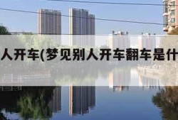 梦见别人开车(梦见别人开车翻车是什么预兆)