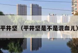 平井坚（平井坚是不是混血儿）