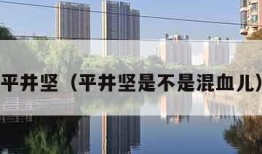 平井坚（平井坚是不是混血儿）
