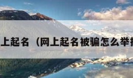 网上起名（网上起名被骗怎么举报）