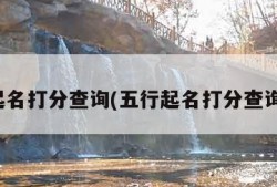 起名打分查询(五行起名打分查询)