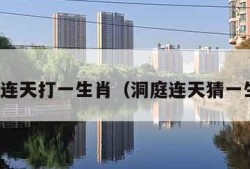 洞庭连天打一生肖（洞庭连天猜一生肖）