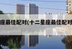 十二星座最佳配对(十二星座最佳配对情侣表)