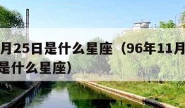 11月25日是什么星座（96年11月25日是什么星座）