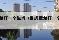卧虎藏龙打一个生肖（卧虎藏龙打一个生肖动物）